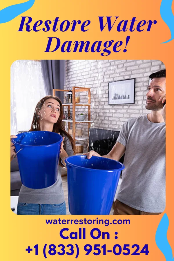 water restoration Titan Water Repair Inc Clarktown