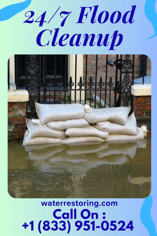 24/7 Flood Cleanup in Clarktown, OH