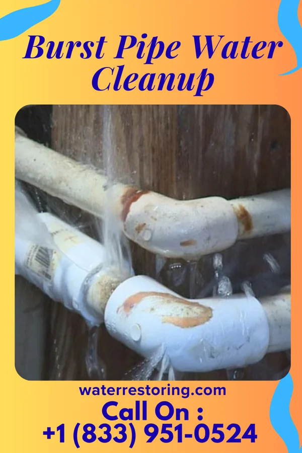Burst Pipe Water Cleanup in Clarktown, OH