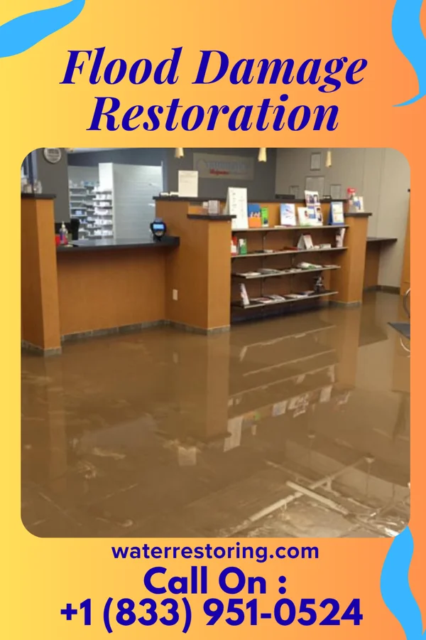 Flood Damage Restoration in Clarktown, OH