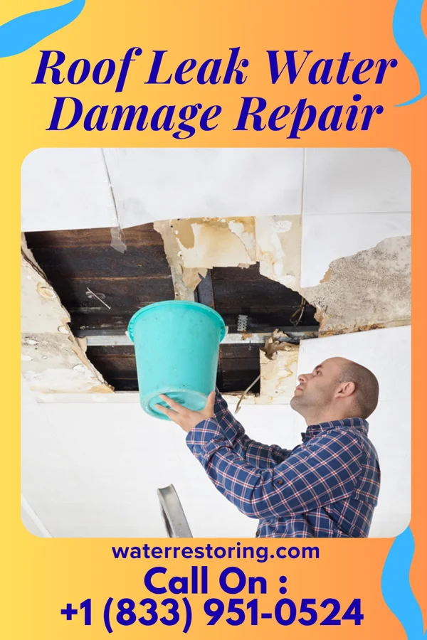 Roof Leak Water Damage Repair in Clarktown, OH
