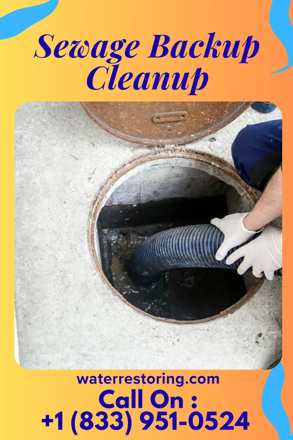 Sewage Backup Cleanup in Clarktown, OH